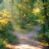 Trouver son chemin pour créer sa vie - Céline Béen Relaxologue