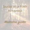 Méditation Sagesse de la forêt automnale - Céline Béen Relaxologue Sophrologue