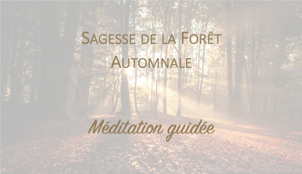 Méditation Sagesse de la forêt automnale - Céline Béen Relaxologue Sophrologue