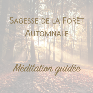 Méditation "Sagesse de la forêt automnale"