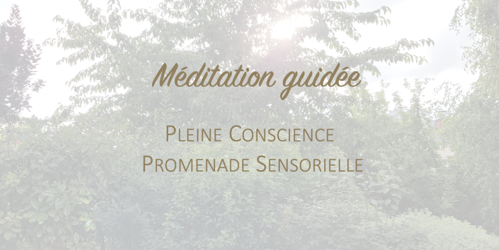 Méditation de pleine conscience - Promenade sensorielle - Céline Béen Relaxologie Sophrologie